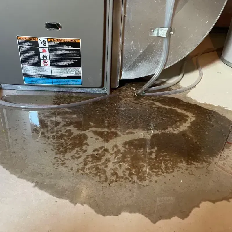 Appliance Leak Cleanup in LaMoure County, ND